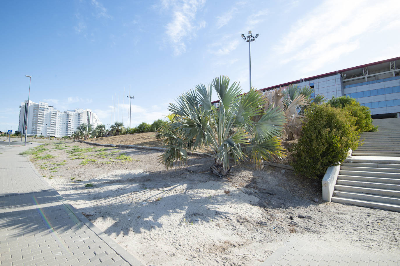 Fotos: Estado del interior y los aledaños del Enrique Roca