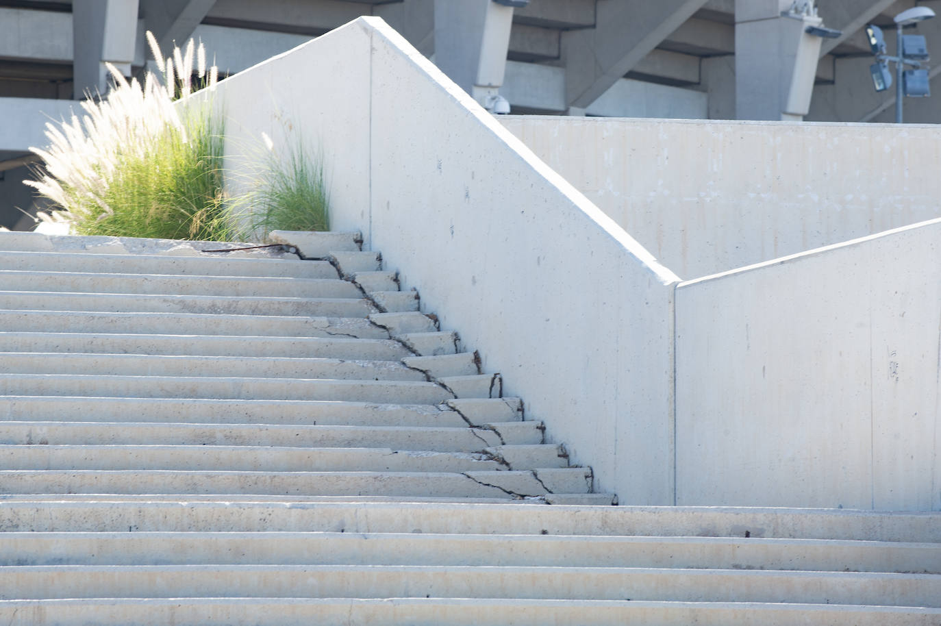 Fotos: Estado del interior y los aledaños del Enrique Roca