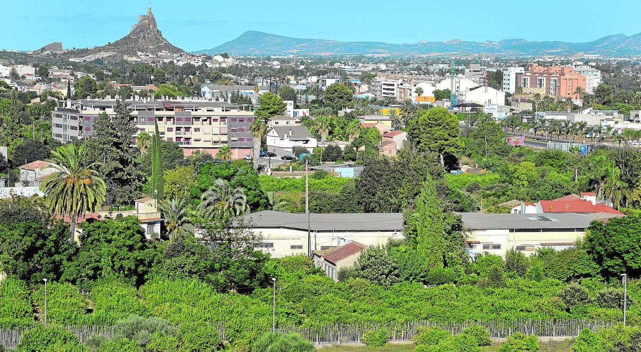 Un huerto de limoneros en las inmediaciones de la avenida Juan Carlos I, a la altura del edificio JC1. 