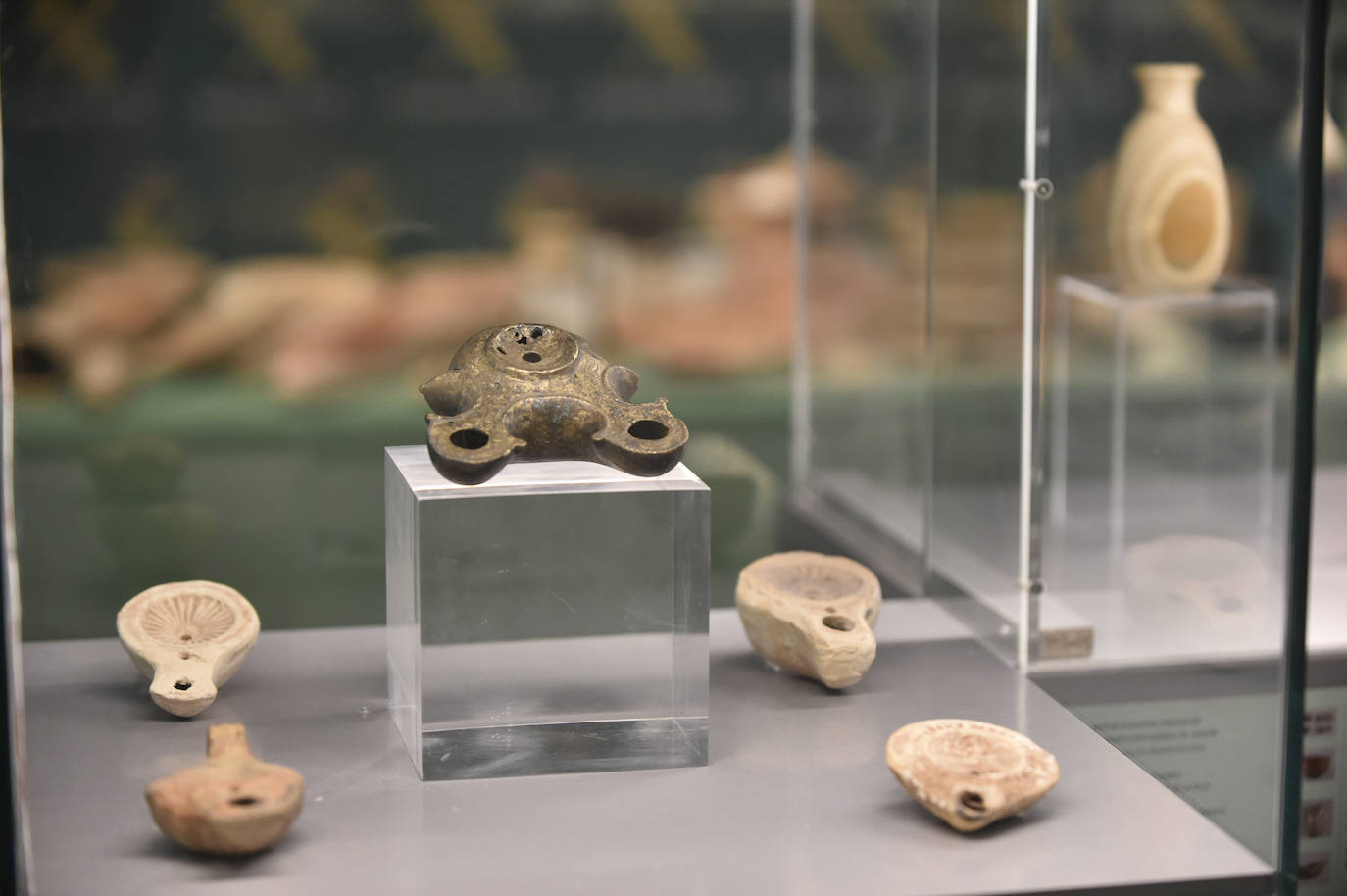 Fotos: Exposición &#039;Luchando contra el expolio&#039;