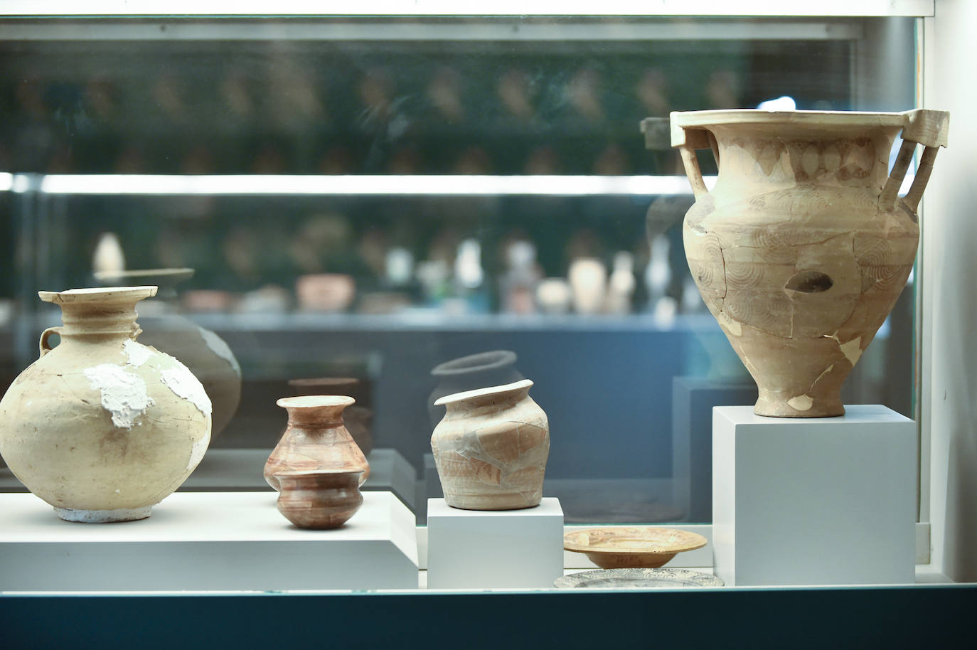 Fotos: Exposición &#039;Luchando contra el expolio&#039;