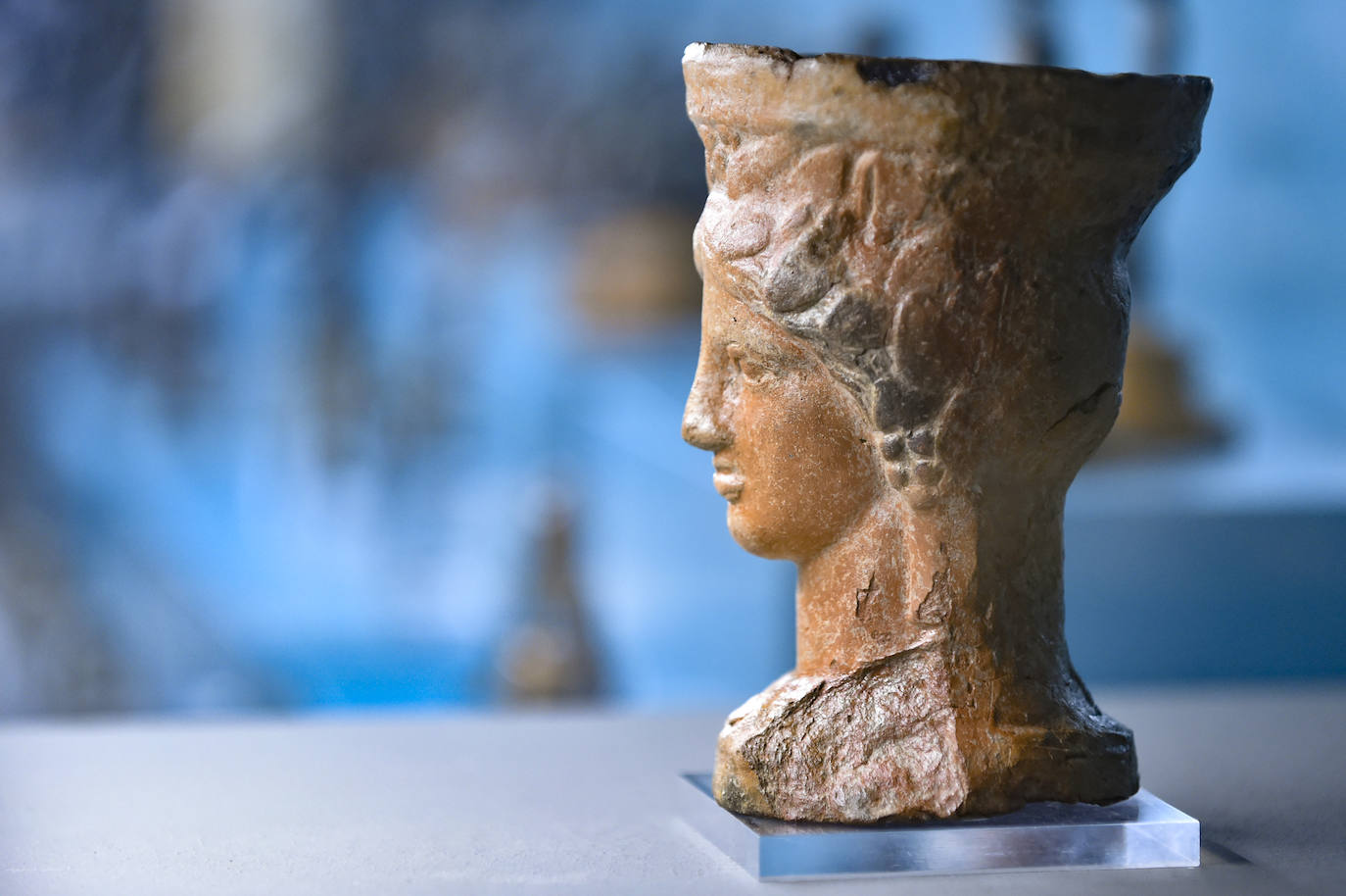 Fotos: Exposición &#039;Luchando contra el expolio&#039;