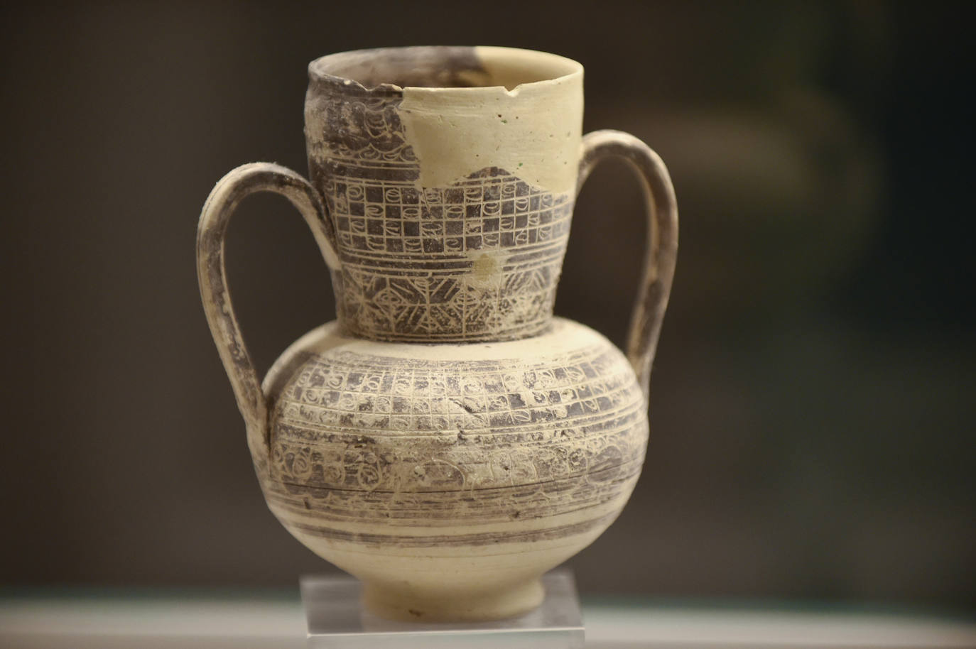 Fotos: Exposición &#039;Luchando contra el expolio&#039;