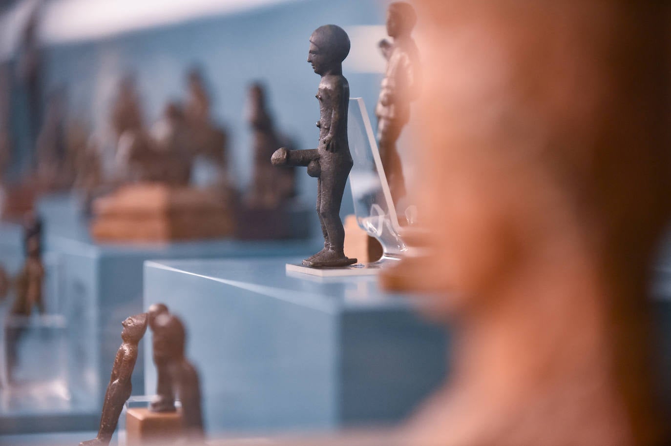 Fotos: Exposición &#039;Luchando contra el expolio&#039;