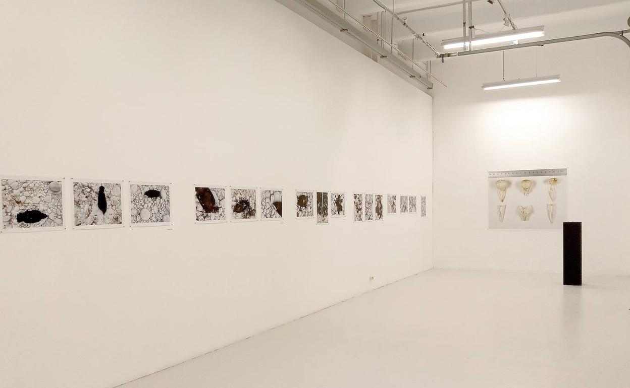 Imagen de la exposición 'Naturalezas muertas JUN. 8, 2019 / AGO. 17, 2019' en el Centro Párraga.