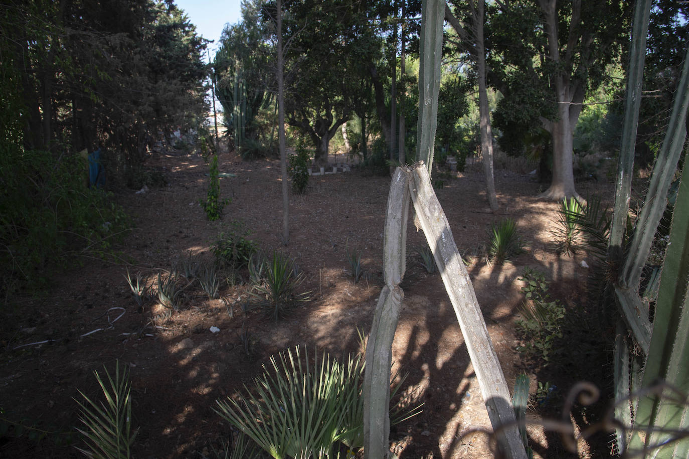 Fotos: El Huerto de Cándido, en La Palma, será un jardín botánico