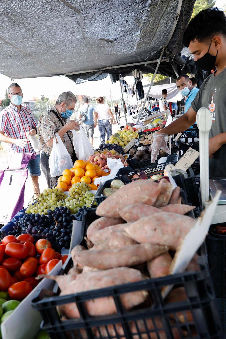 Fotos: Primer domingo del nuevo mercadillo de La Fica