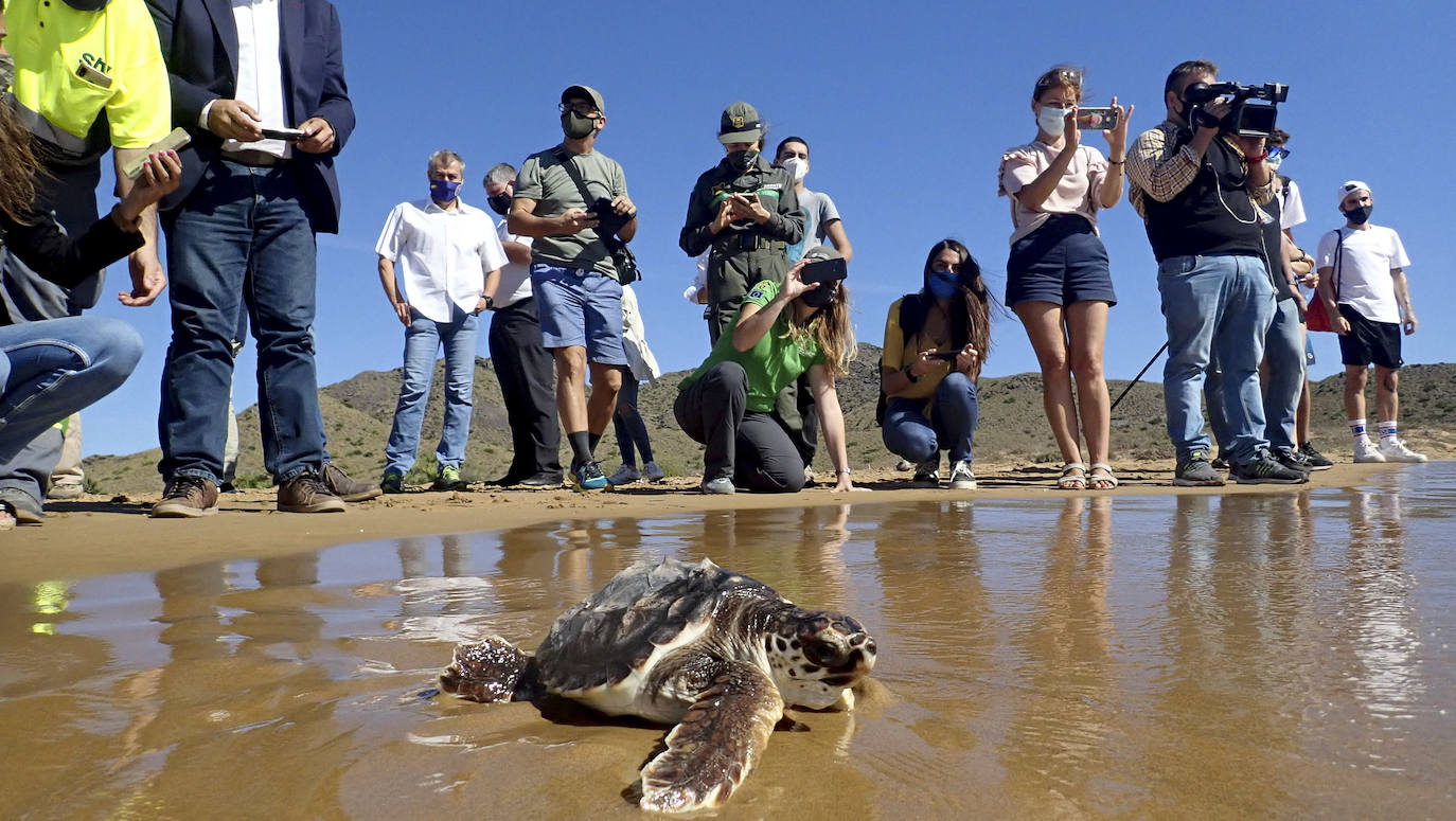 Fotos: El océano comienza en Calblanque