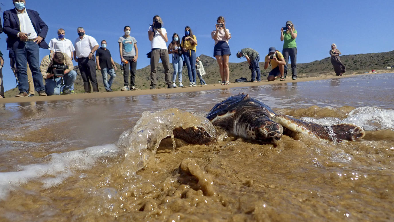 Fotos: El océano comienza en Calblanque