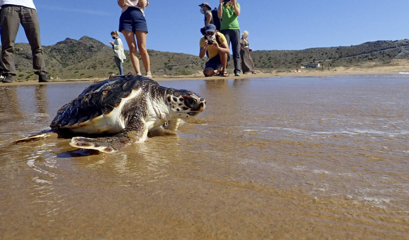 Fotos: El océano comienza en Calblanque