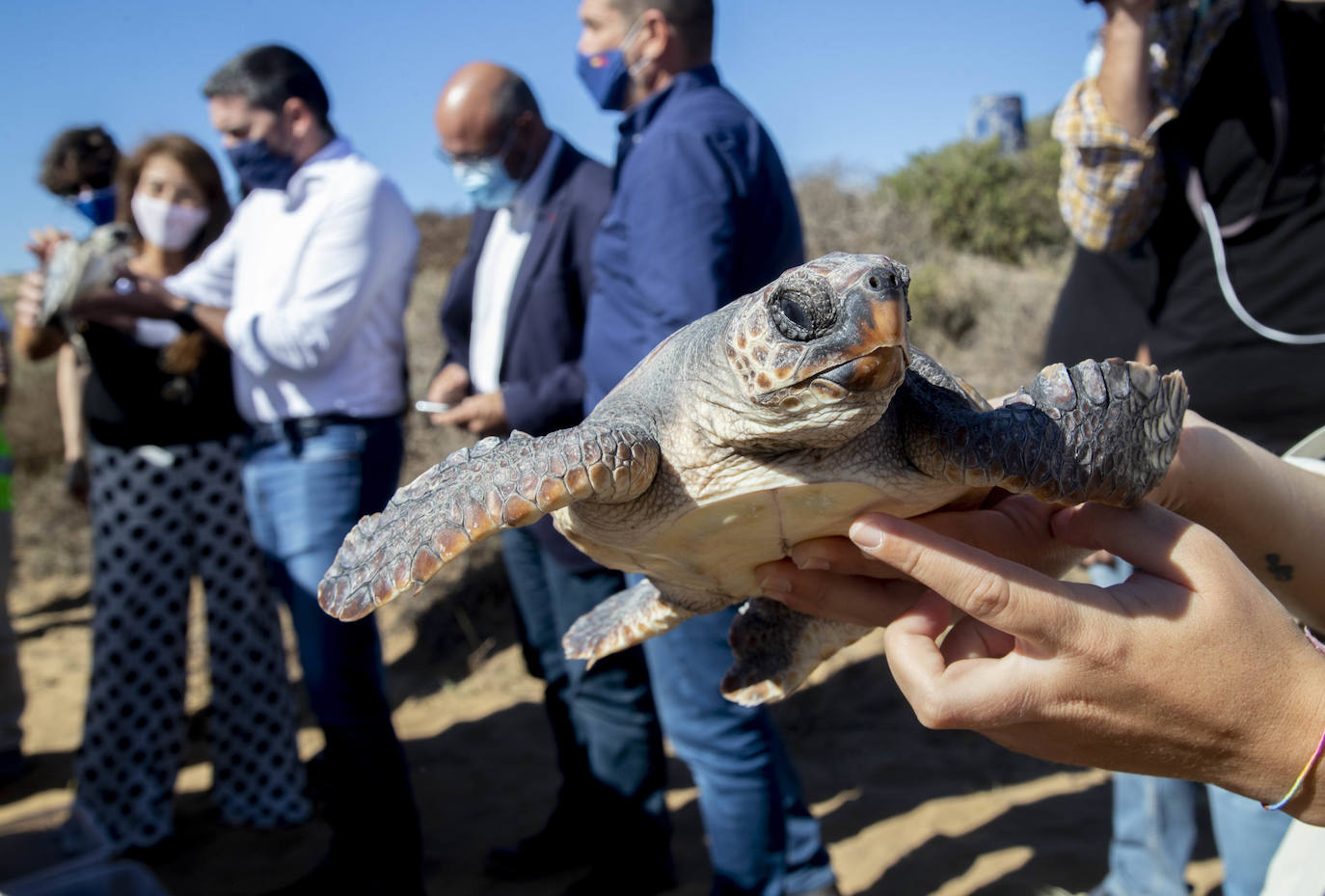 Fotos: El océano comienza en Calblanque