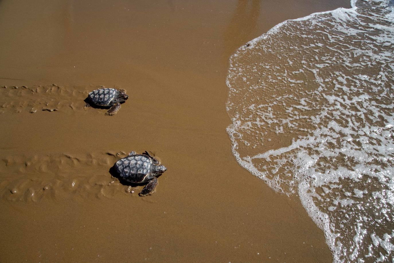 Fotos: El océano comienza en Calblanque