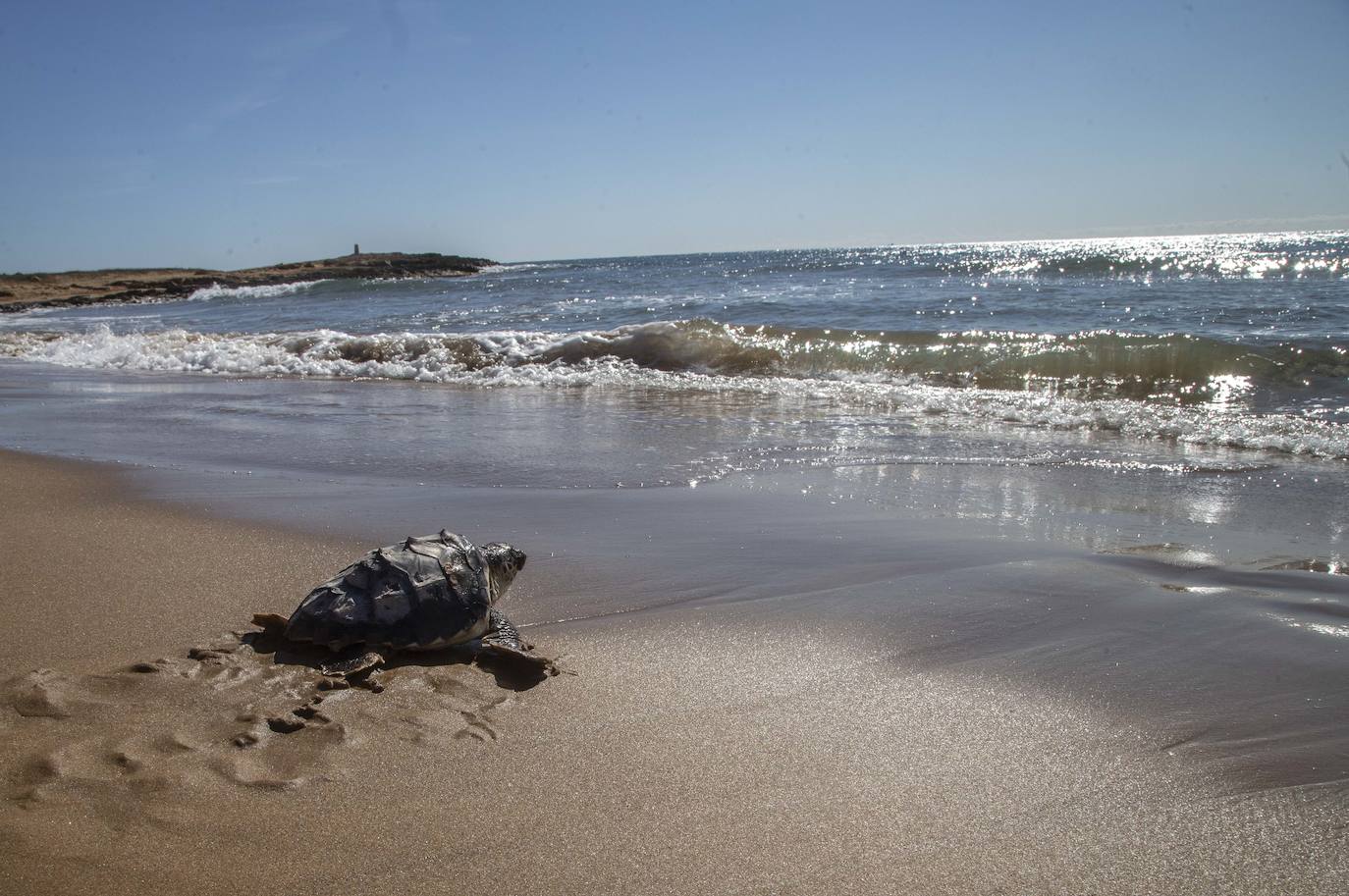 Fotos: El océano comienza en Calblanque