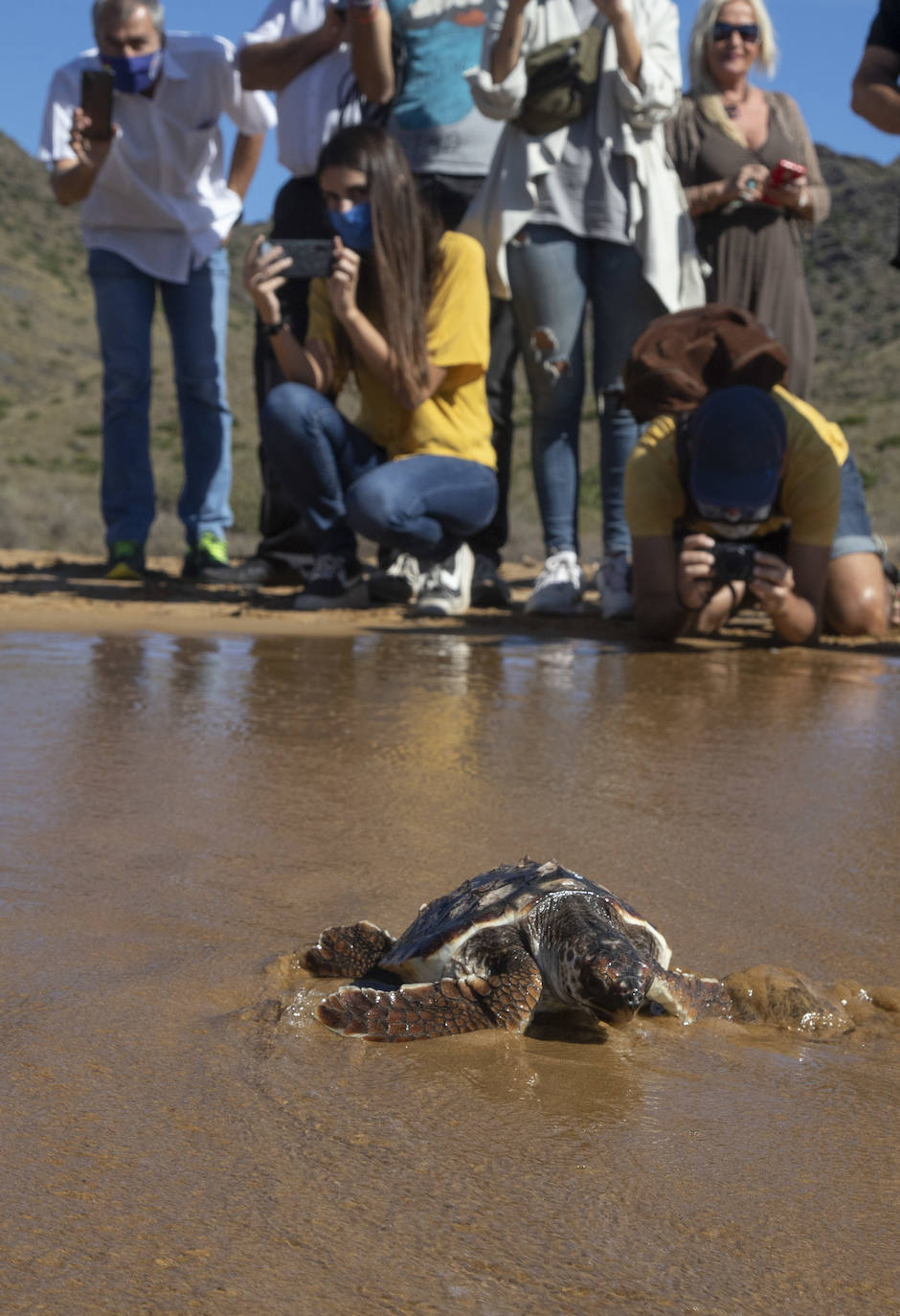 Fotos: El océano comienza en Calblanque