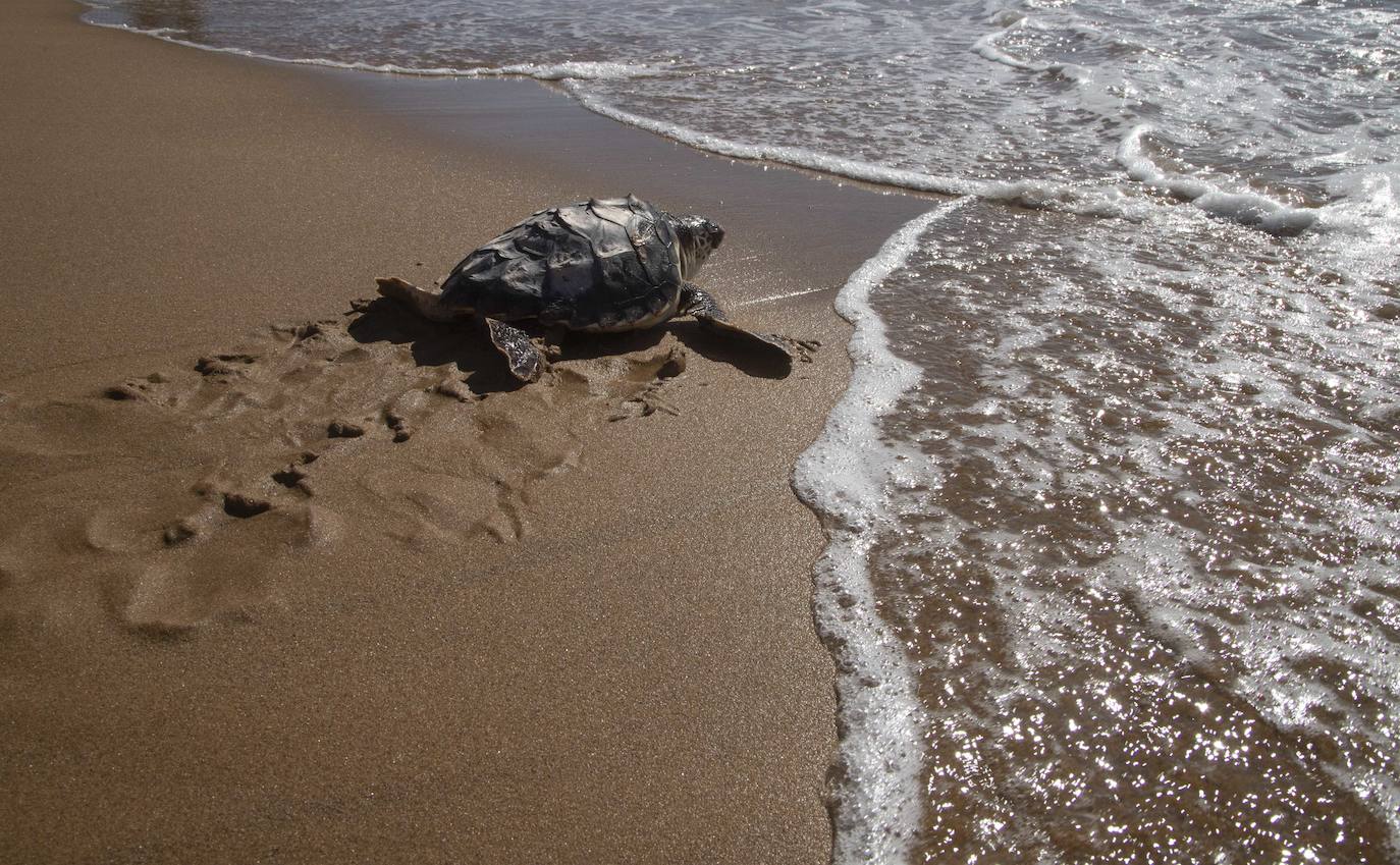 Fotos: El océano comienza en Calblanque