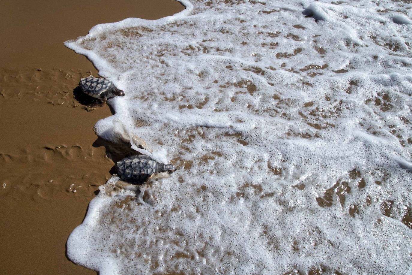Fotos: El océano comienza en Calblanque