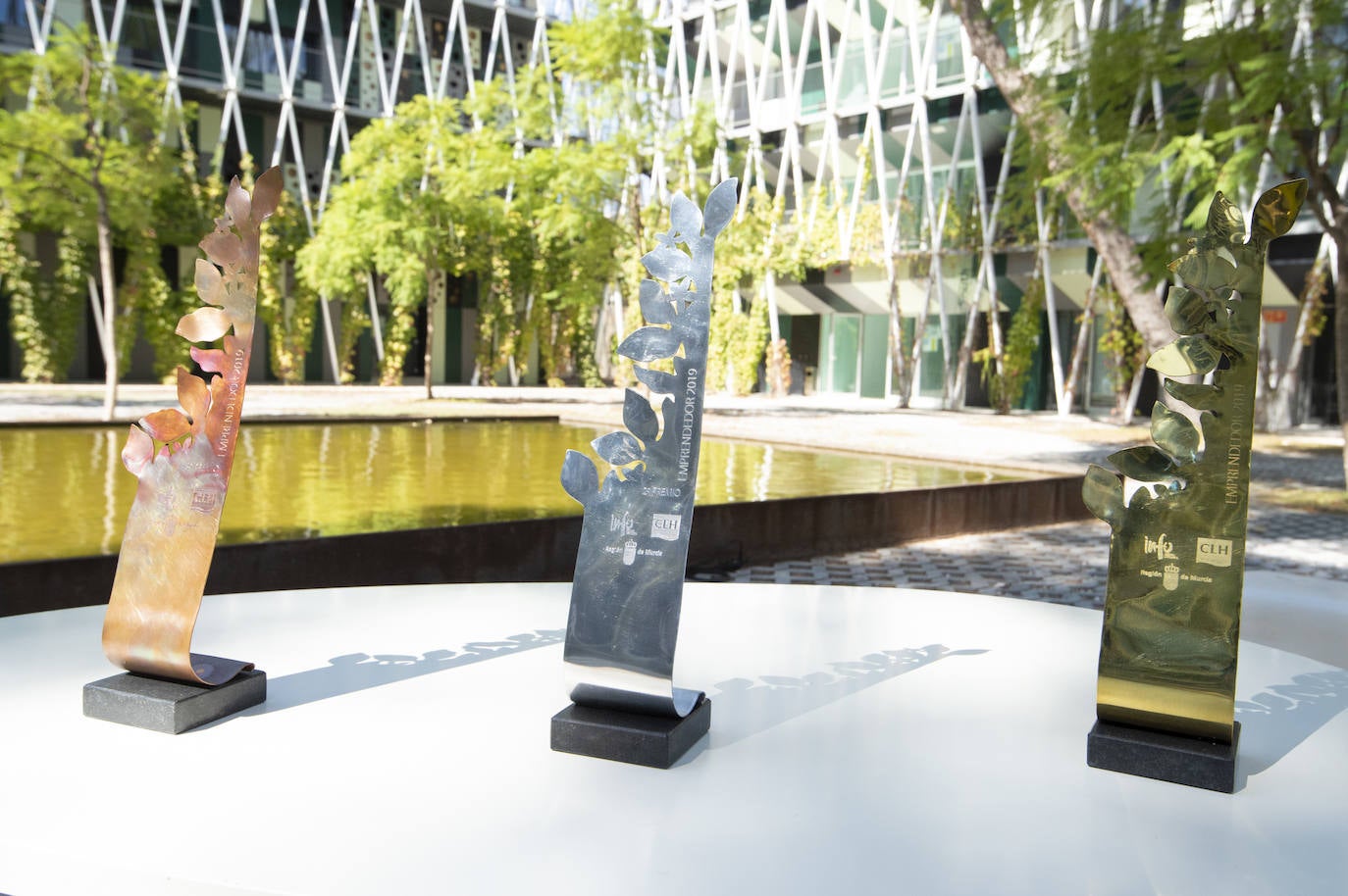 Fotos: Entrega del Premio Emprendedor del año de la Región de Murcia