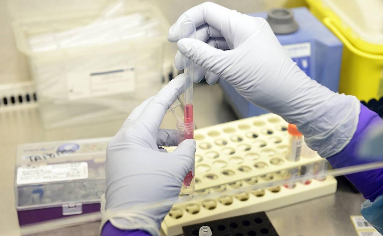 Muestras de pruebas PCR en el laboratorio de virología de La Arrixaca.
