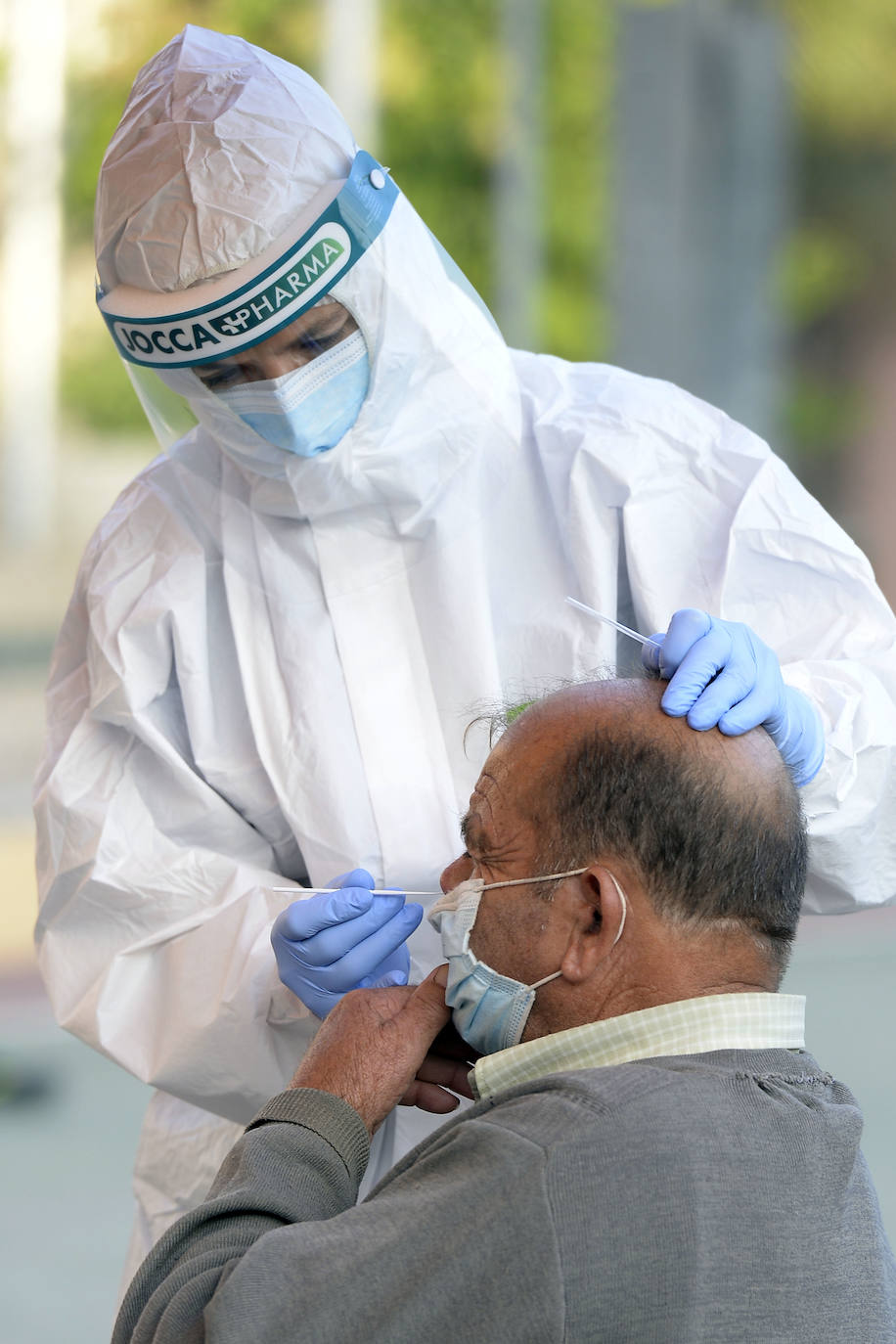 Fotos: A la caza del virus en Totana