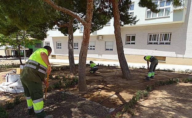 Trabajos en un jardín de Cartagena para favorecer la presencia de insectos. 