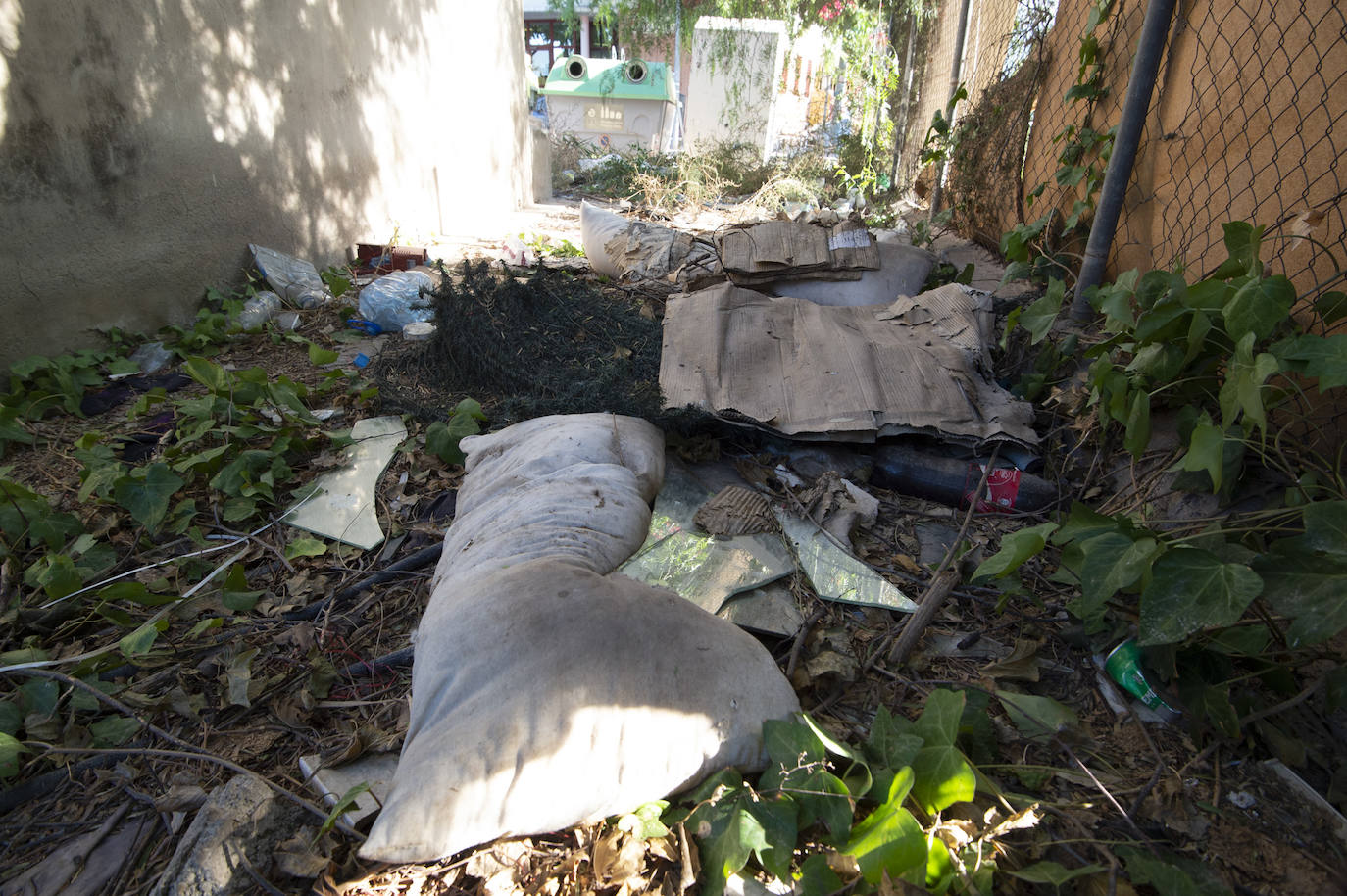 Fotos: Vecinos de Churra viven rodeados de solares con ratas
