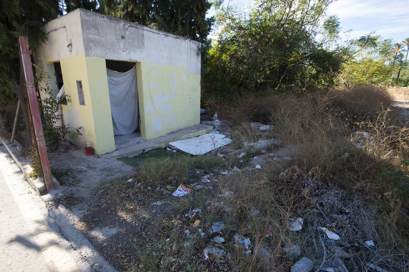 Fotos: Vecinos de Churra viven rodeados de solares con ratas