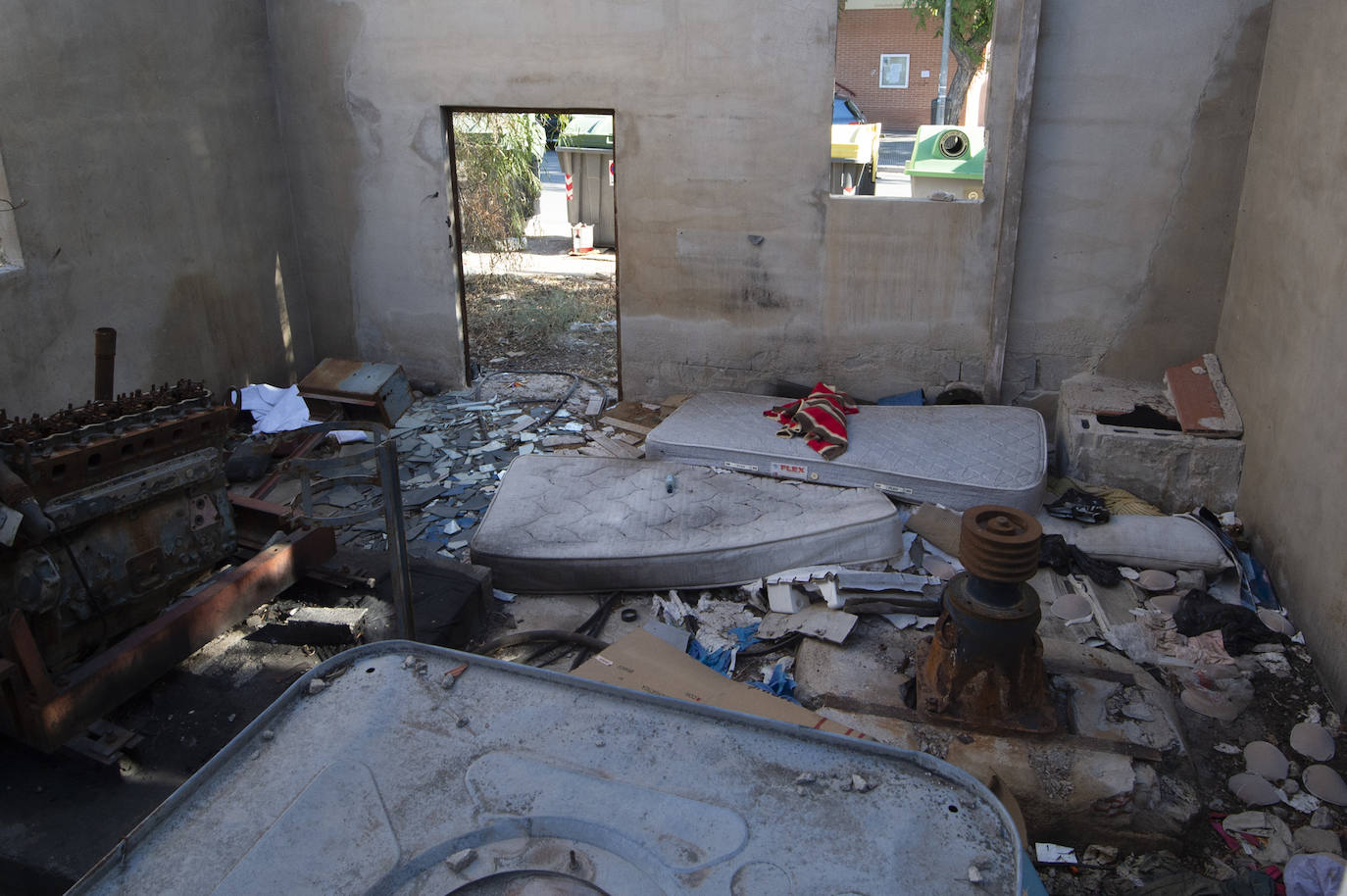 Fotos: Vecinos de Churra viven rodeados de solares con ratas