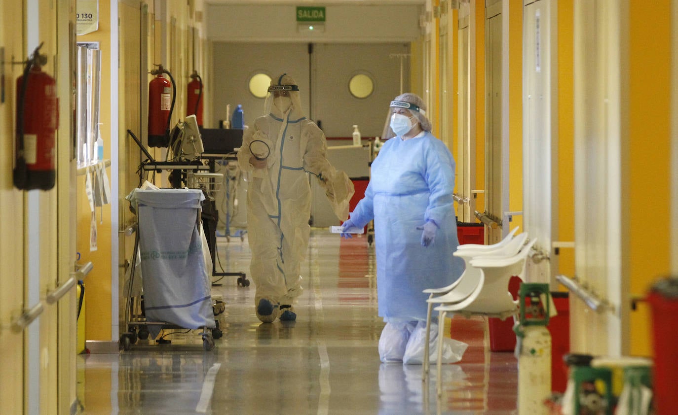 Fotos: Lucha contra la Covid en el hospital Reina Sofía de Murcia