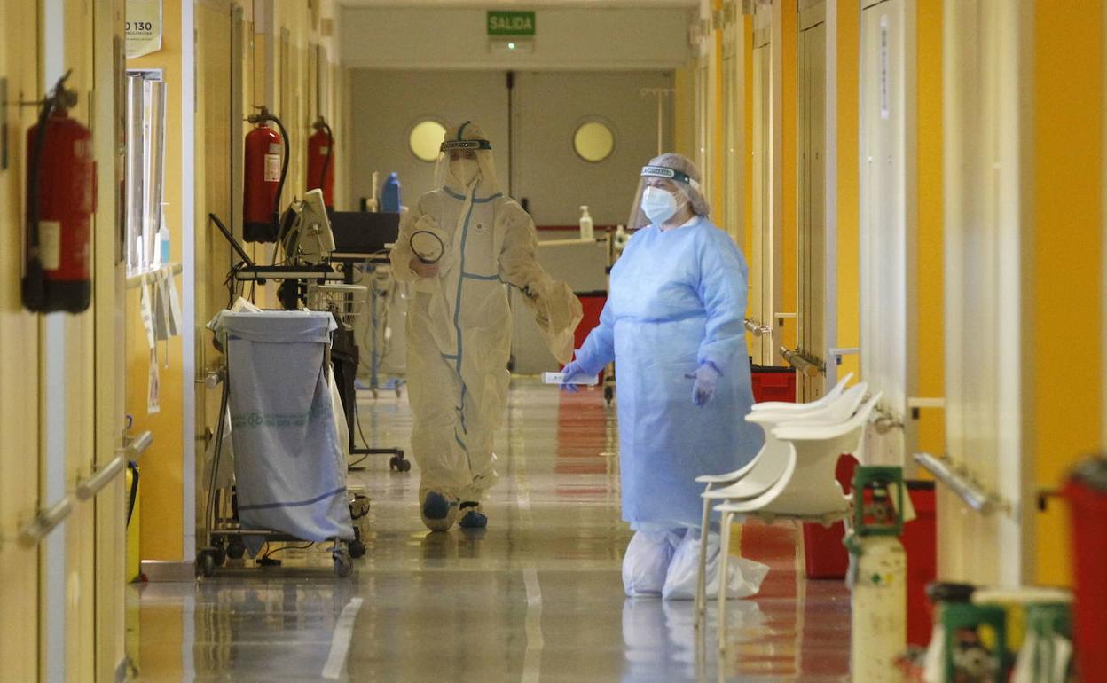 Sanitarios en la planta Covid del hospital Reina Sofía, esta semana.