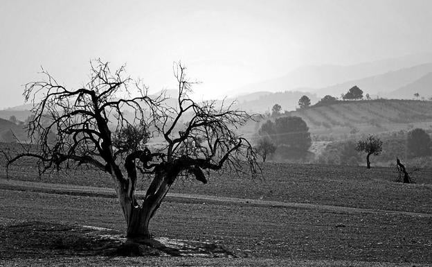 Ortillo, otra población rural de las tierras altas de Lorca, donde Espartaria desarrolla proyectos culturales.