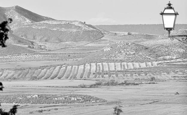 Campos cerca de Coy. El libro de Paco Alonso recoge imágenes de este territorio inmenso y recuerdos de 37 de sus habitantes. 