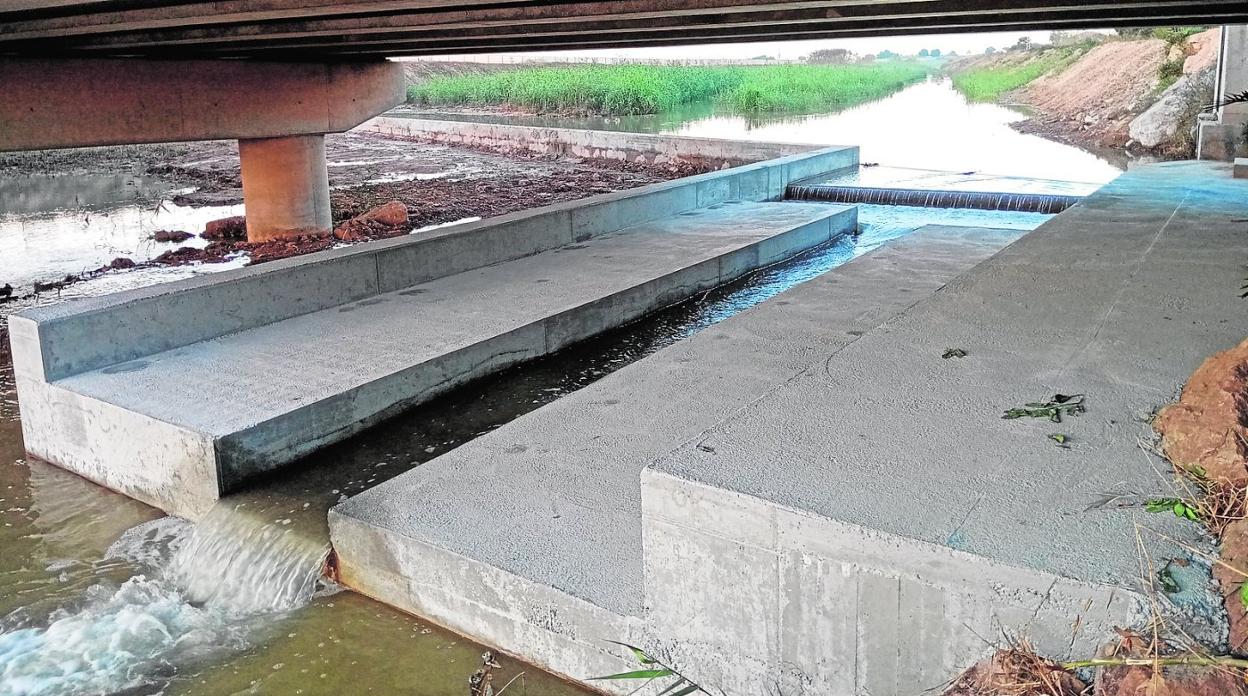 El agua que aflora del acuífero descarga en el Mar Menor desde la rambla del Albujón, como se aprecia en el aforador construido por la CHS. 