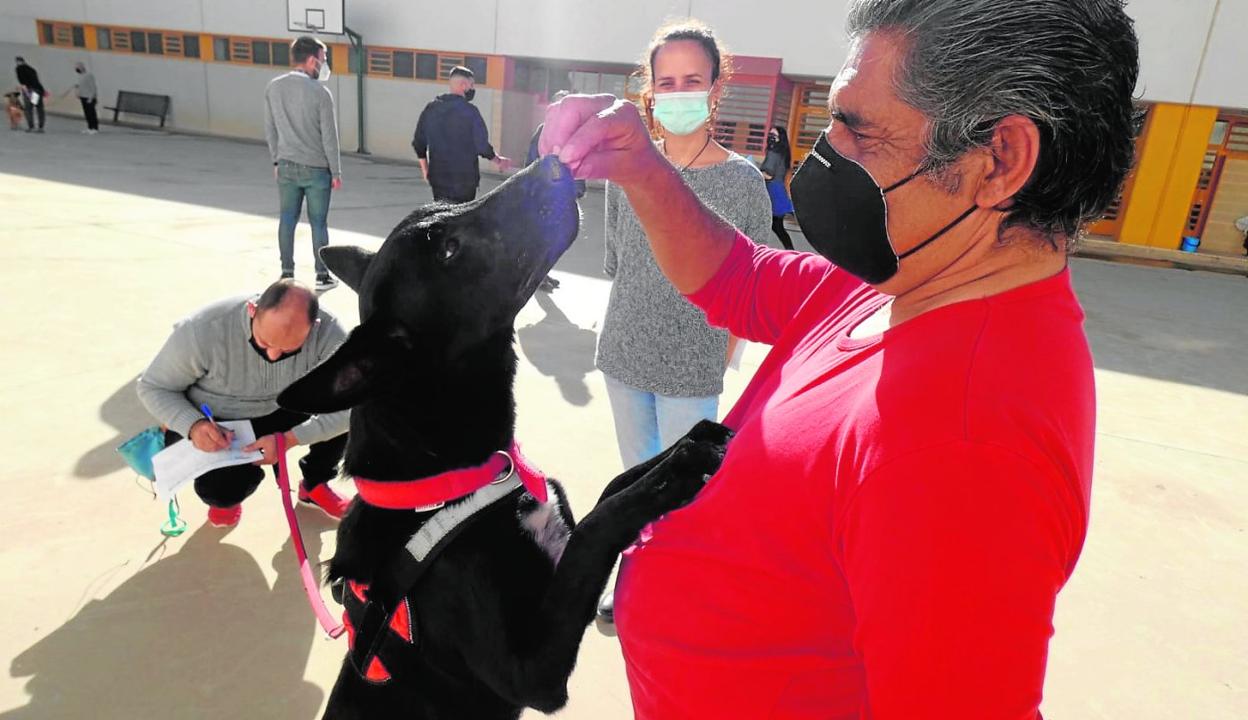 Terapias caninas en la cárcel de Campos del Río