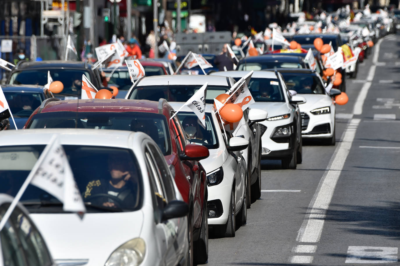 Fotos: La &#039;marea naranja&#039; recorre el centro de Murcia contra la &#039;ley Celaá&#039;