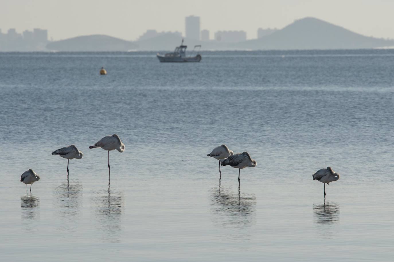 Fotos: Comienzan las obras para instalar un balneario en la playa de Los Urrutias