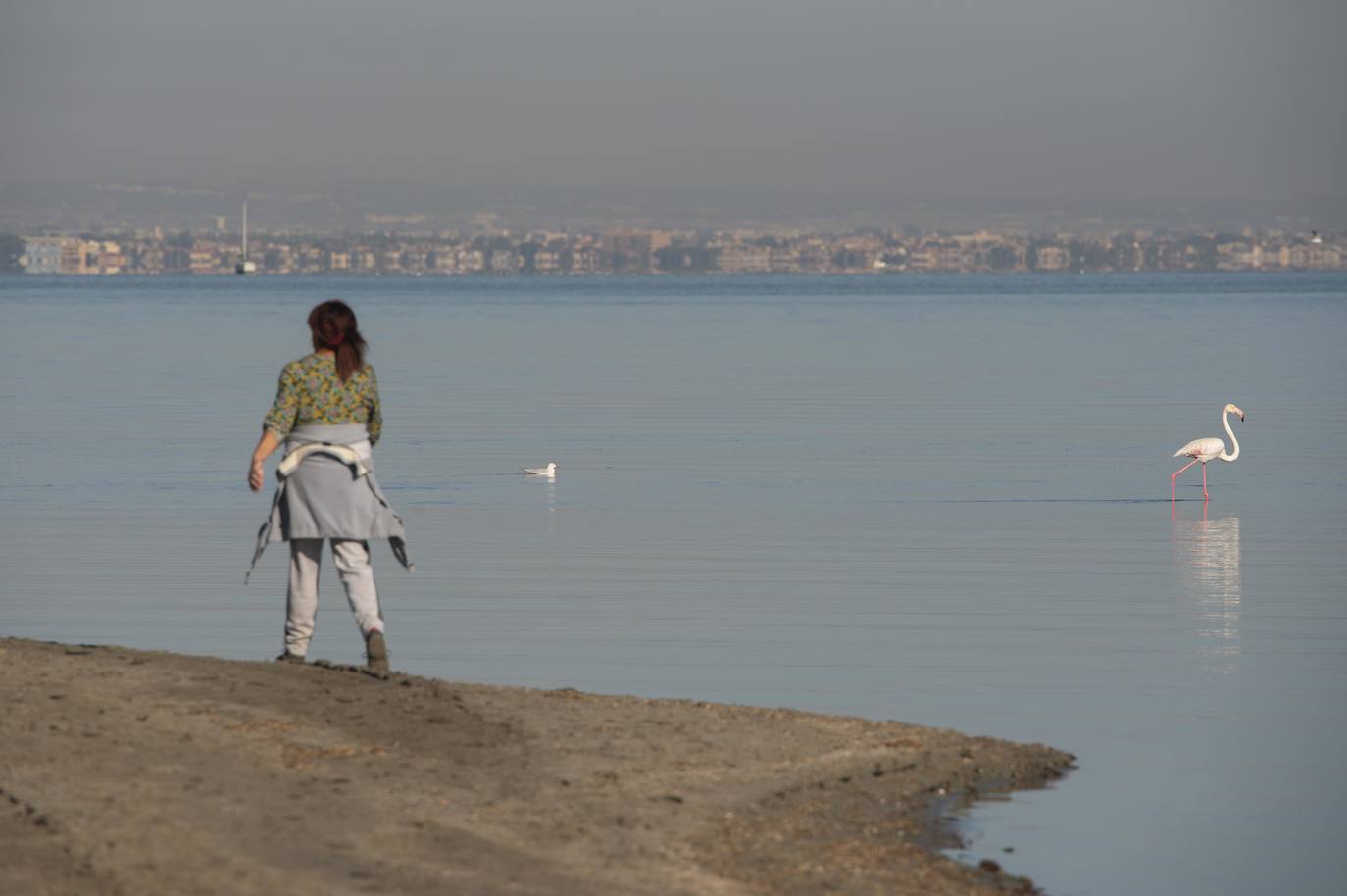 Fotos: Comienzan las obras para instalar un balneario en la playa de Los Urrutias