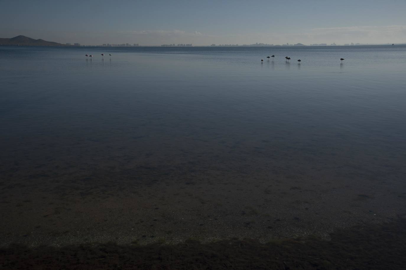 Fotos: Comienzan las obras para instalar un balneario en la playa de Los Urrutias