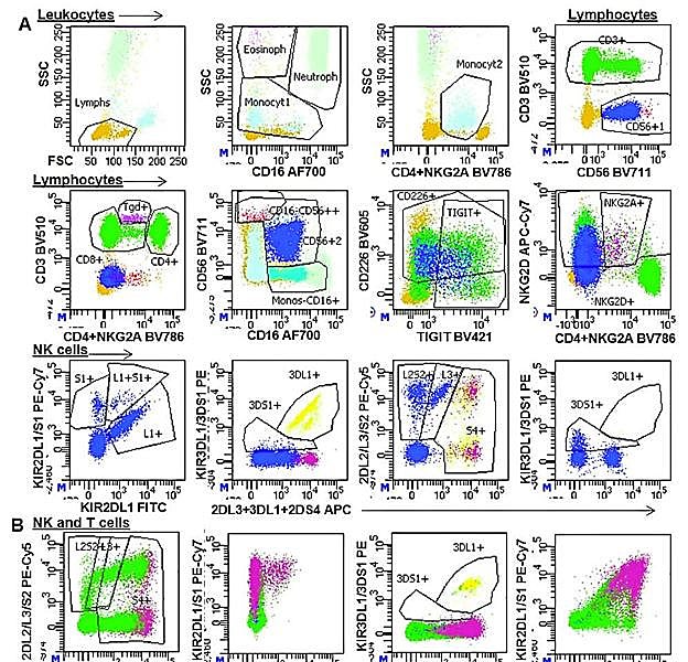 Análisis celular mediante citometría de flujo de las células de la sangre de pacientes con cáncer.