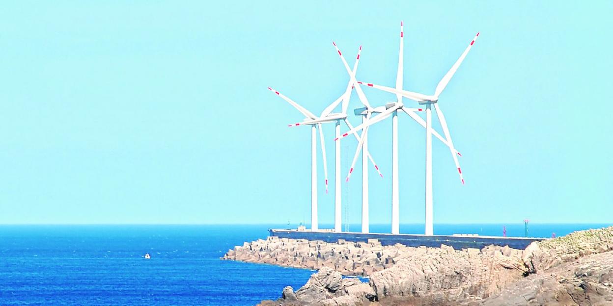 La energía eólica es una de las fuentes de donde provendrá la electricidad empleada . 