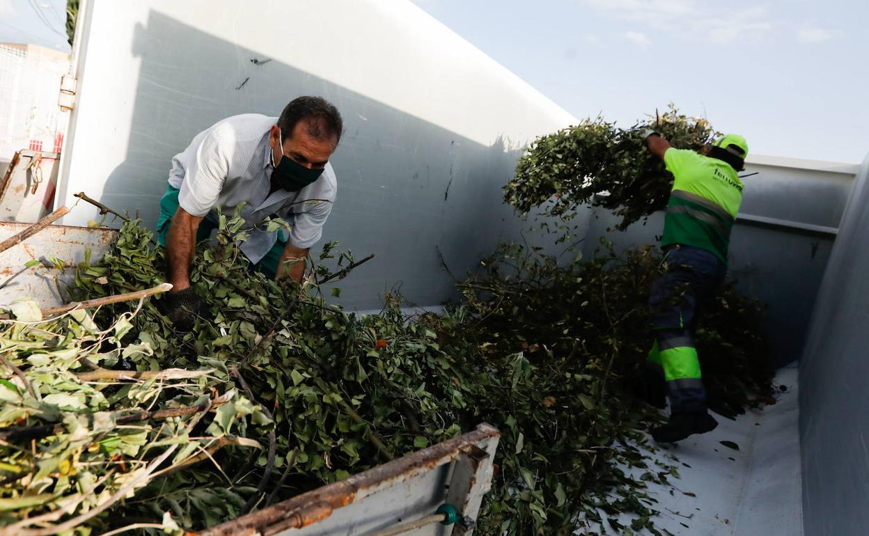 Agricultor llevando podas en un contenedor, en una imagen de archivo. 