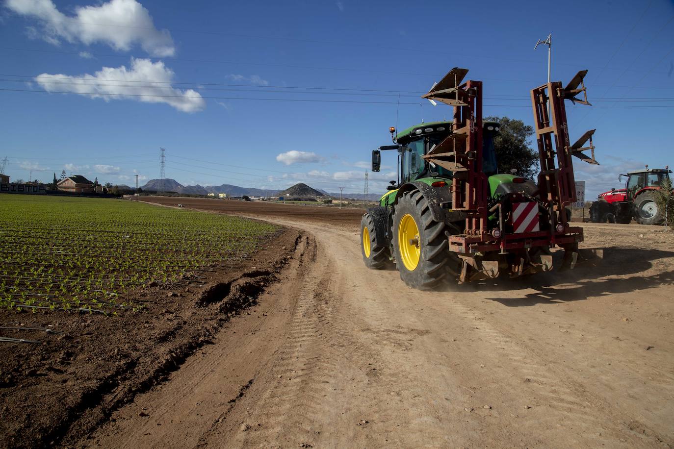 Fotos: Jornaleros del campo de Cartagena trabajan durante el día de la huelga