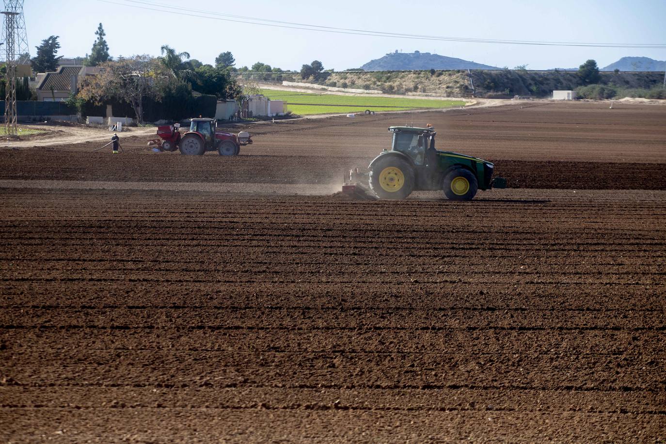 Fotos: Jornaleros del campo de Cartagena trabajan durante el día de la huelga