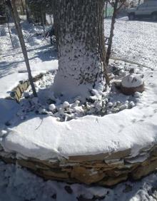 Imagen secundaria 2 - Nieve en Moratalla en la mañana de este sábado.