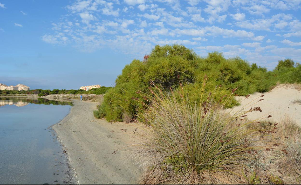 Sector norte de la Caleta del Estacio, que será restaurado por ANSE.