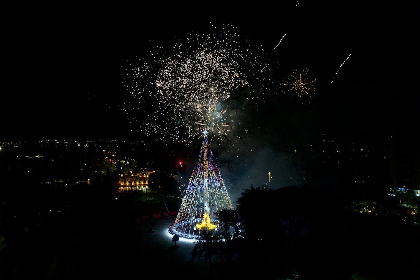 Fotos: El árbol de Navidad de Murcia ya brilla en la Plaza Circular