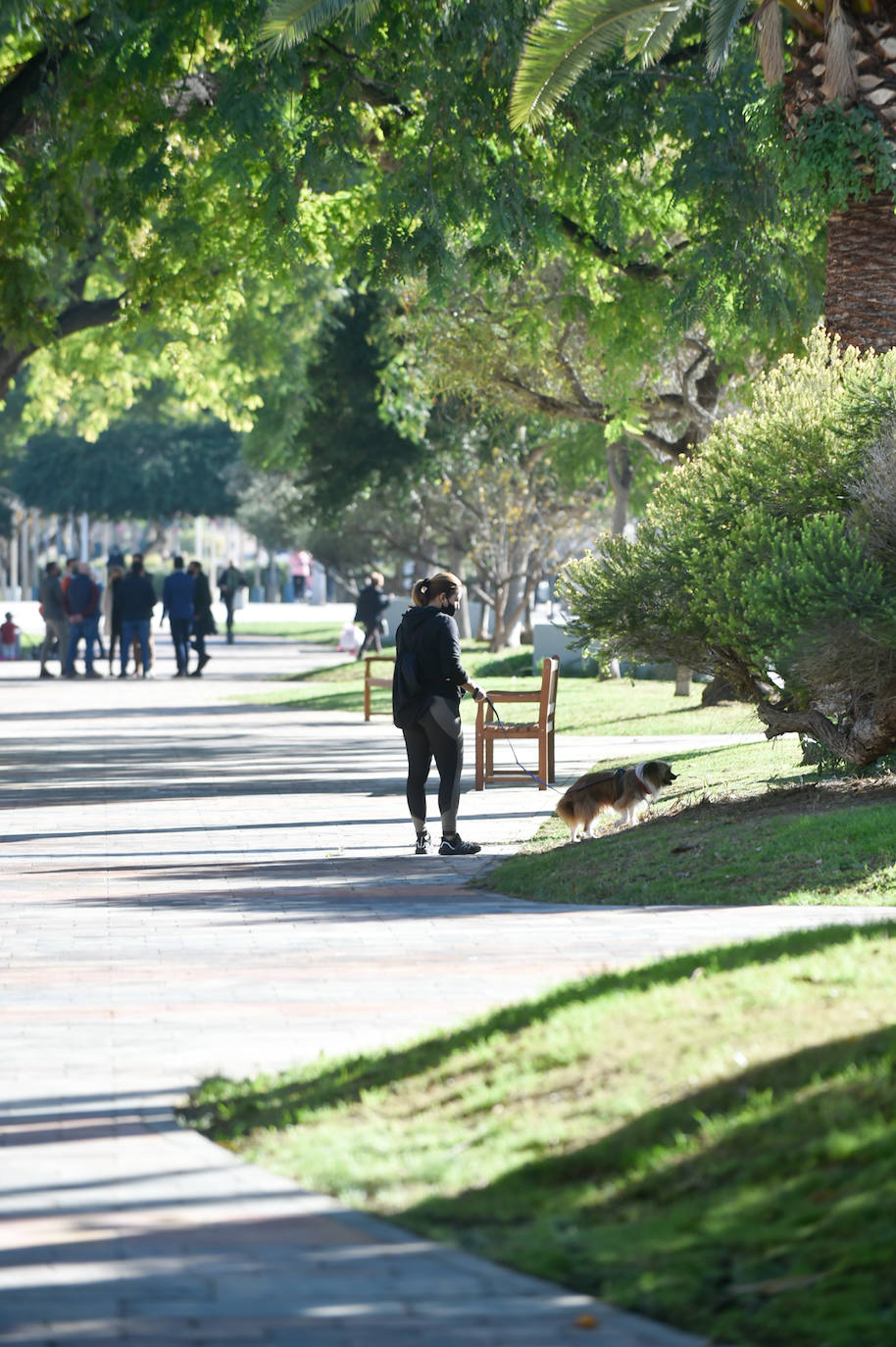 Fotos: El jardín Teniente Flomesta de Murcia estrena zonas de recreo y descanso