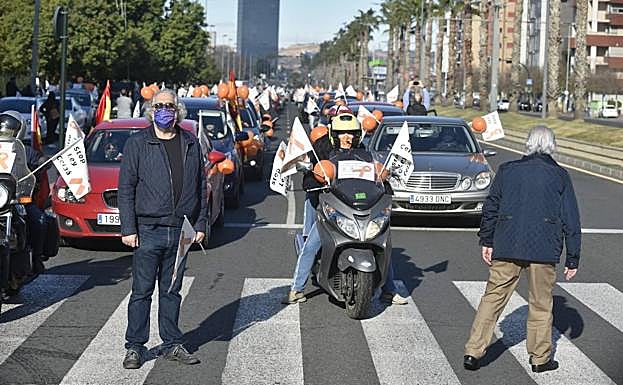 Imagen principal - La manifestación contra la 'ley Celaá' recorriendo Murcia.