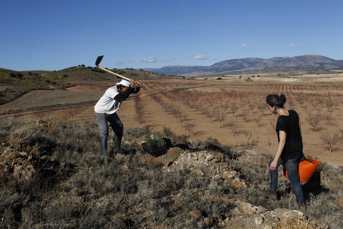 Fotos: Una nueva agricultura que cura la tierra