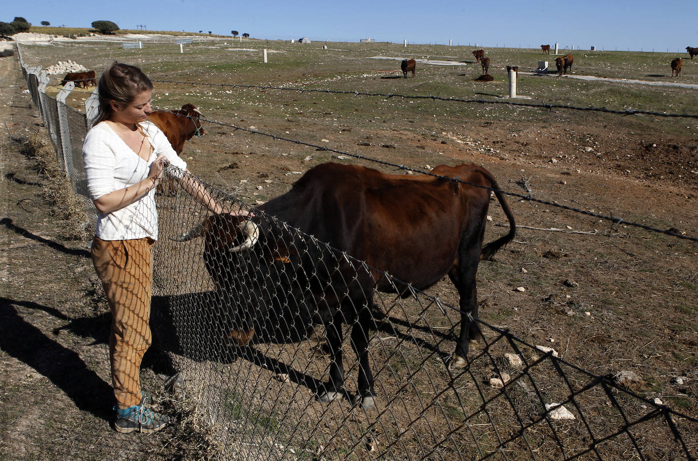 Fotos: Una nueva agricultura que cura la tierra