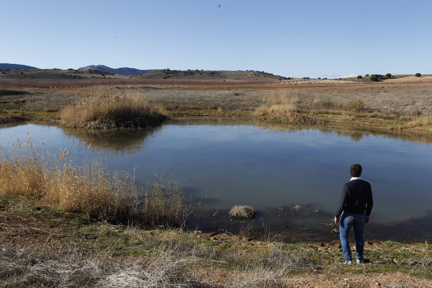 Fotos: Una nueva agricultura que cura la tierra